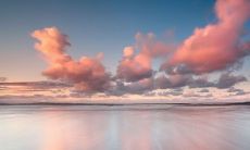 2023年动婚姻宫的八字 丁丑日柱姻缘旺盛