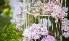 2023兔年农历一月份订婚提亲黄道吉日查询 订婚好日子分析