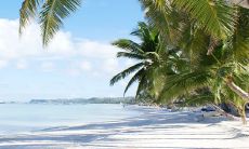 正月初三生的男孩命运2023年 一生食禄丰盈