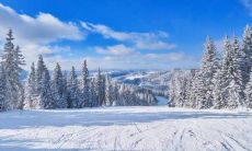 太阳狮子月亮水瓶性格特点 优缺点解析