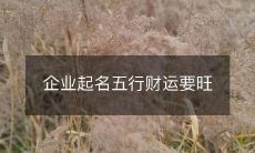 企业起名五行财运要旺