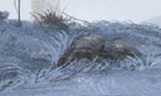 测你们之间的感情脆弱吗