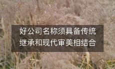 好公司名称须具备传统继承和现代审美相结合