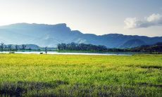 大年初三出生的男孩命理2023年 机智聪明有才华