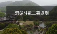 紫微斗数主要派别