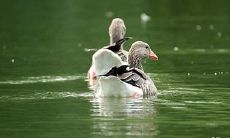 2023年4月5日、6日搬家好不好