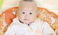 兔宝宝女孩小名大全2023洋气(200个)