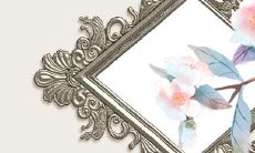 正月初四出生的男孩是什么命2023年 有利官近贵之命