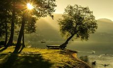 剑放置在家里的什么位置更有效果