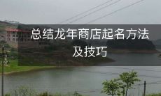 总结龙年商店起名方法及技巧