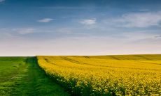 2023适合生子的生肖 属猪人适合生孩子