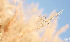 2023年4月7日、8日搬家好不好