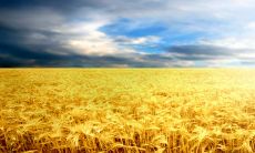 2024年是闰年吗 是公历闰年