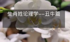 生肖姓论理学--丑牛篇