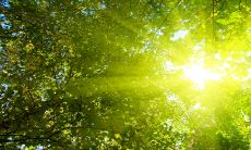 2023生肖兔几月生的好 农历六月出生的兔宝多才多艺