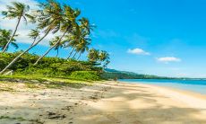 2023流年好运的生肖 生肖马会升职发财