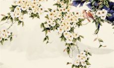 十二生肖小运播报:2023年4月9日特吉生肖一览表