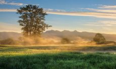 2023金榜题名的女生肖 属羊人学运绝佳