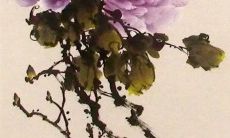 今日特吉生肖:2023年4月12日生肖运势盘点