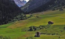 哪些星座女生经常发脾气但又很容易原谅你