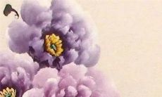 2023年4月13日有哪些特吉生肖十二生肖运势排行