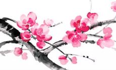 2023年生肖运势:属蛇人4月运势进展如何 感情升温事业运佳