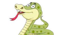 属蛇的女孩几月出生好 属蛇女几月份出生命好