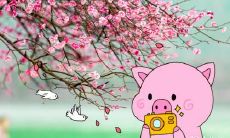 各个方面优秀的生肖女 王者实力的星座