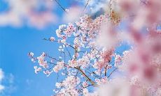 2023年4月17日、18日搬家好不好