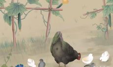 骨子里最冷血的生肖女 不讲情面的星座