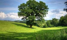 十二星座中谁喜欢假装富有装阔气