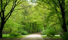 2023年必生男孩的生肖 属虎有添丁之喜