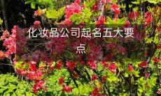 化妆品公司起名五大要点