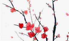 八字解析：2023年2月25日出生的宝宝是什么命，五行缺什么