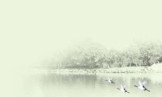 2023年2月22日出生的属兔女孩命运怎么样，属兔男孩是什么命