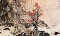 2023年2月27日出生的属兔女孩命运怎么样，男孩命好不好