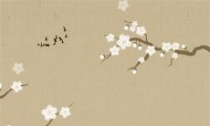 八字解析：2023年2月27日出生的宝宝是什么命，五行缺什么