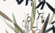 今日特吉生肖:2023年4月4日生肖运势盘点