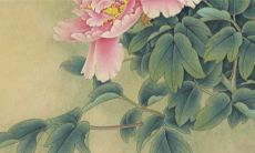 2023年烂桃花必纠缠的生肖 烂桃花爆棚的三大生肖