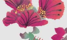 2023感情破裂的4大生肖 桃花朵朵开我行我素