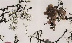 害人最终害自己的生肖女 三大需远离的生肖女