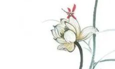 2023年能追回前任的生肖是 破镜重圆再续前缘