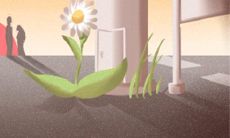 同学结婚送什么花较合适?