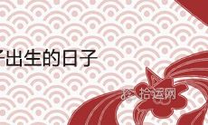贵子出生的日子