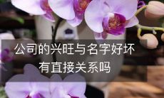 公司的兴旺与名字好坏有直接关系吗