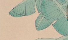 属兔女聪明又厉害 属兔女能看透一个人