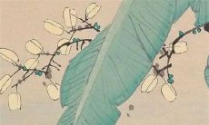 生肖兔命中注定的情劫 属兔一生远离这个人