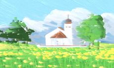 详解:红掌花语是什么?