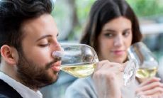 2023年走好运的紫微命格 兔年天降紫微星什么意思