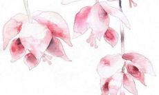 2023年1月31日五行穿衣指南 今日衣服颜色搭配查询